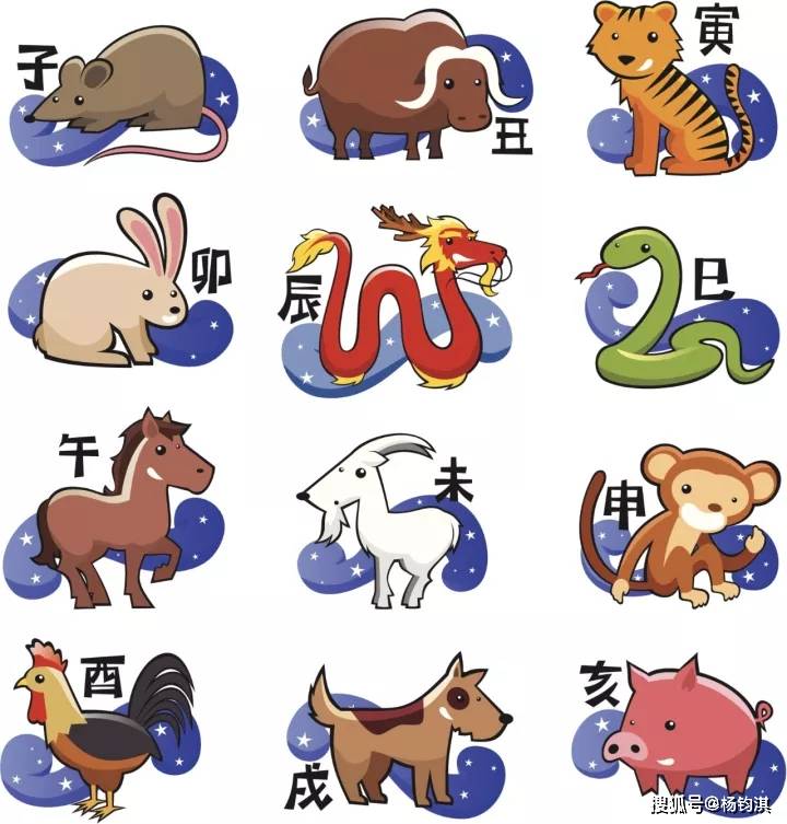 诗中玄机一四八,看对玄机包你中什么生肖详细解答、解释与落实、详细解答解释落实