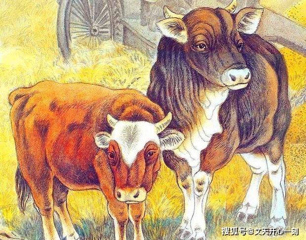 今期生肖最好找家有六畜帮你万,正确生肖、警惕虚假宣传-全面释义、统计解答解释落实